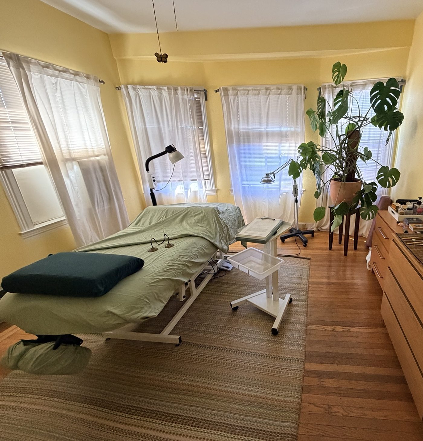 The full healing room, bright with daylight, plants and a woven rug